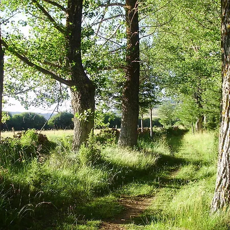 Esther Hotel La Virgen de la Vega