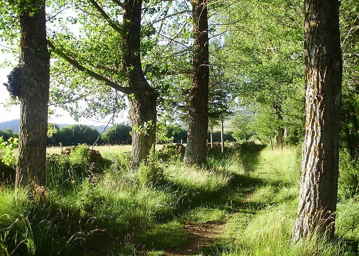 Esther 酒店 La Virgen de la Vega